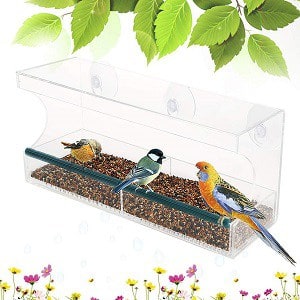 Alimentador de pájaros por tu ventana