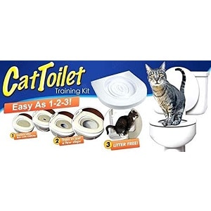 entrenamiento wc gatos